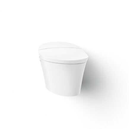 Veil® One-piece elongated smart toilet, dual-flush